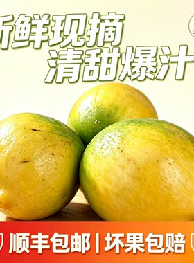 云南冬蜜黄晶果现摘顺丰包邮