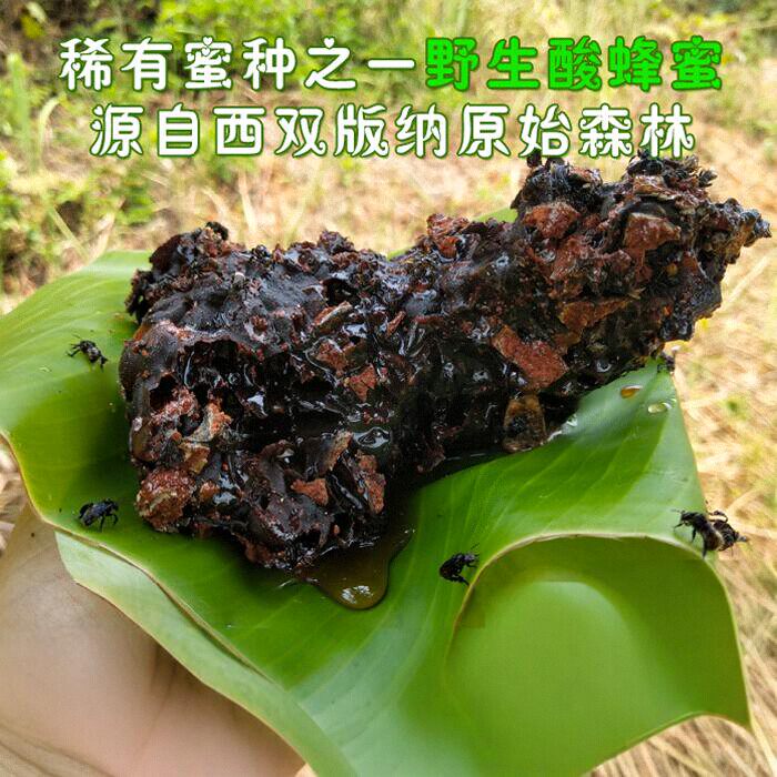土酸蜂蜜原始森林野生无刺蜂百花老巢云南西双版纳农家包邮