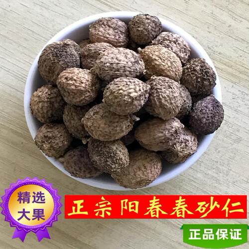 春砂仁甄选正宗大果养胃袪湿理气