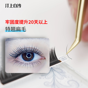 汀上白沙 TCTD特翘睫毛单根扁毛L型狐系美睫店专用中式嫁接翘睫毛
