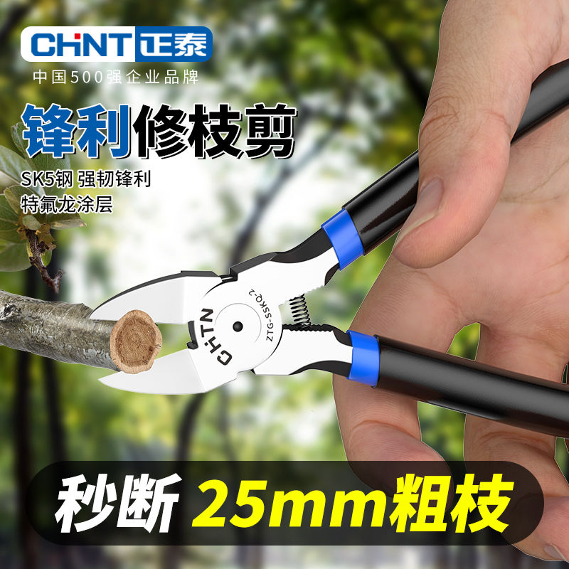 正泰剪枝园艺剪刀修枝剪省力修剪树枝果树竹签园林花卉专用花艺剪图片