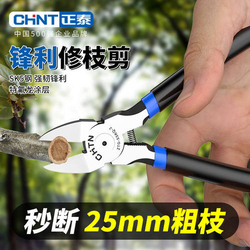 正泰剪枝园艺剪刀修枝剪省力修剪树枝果树竹签园林花卉专用花艺剪