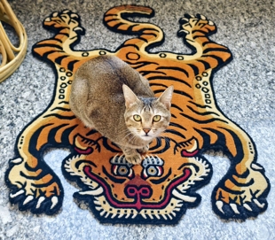 纯手工纯羊毛藏毯经典西藏虎毯挂毯地毯60*90c m