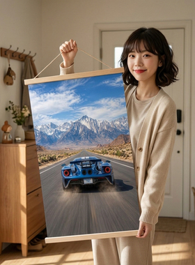 特斯拉赛车卷轴装饰画电表箱遮挡新中式中古风客厅玄关走廊挂画