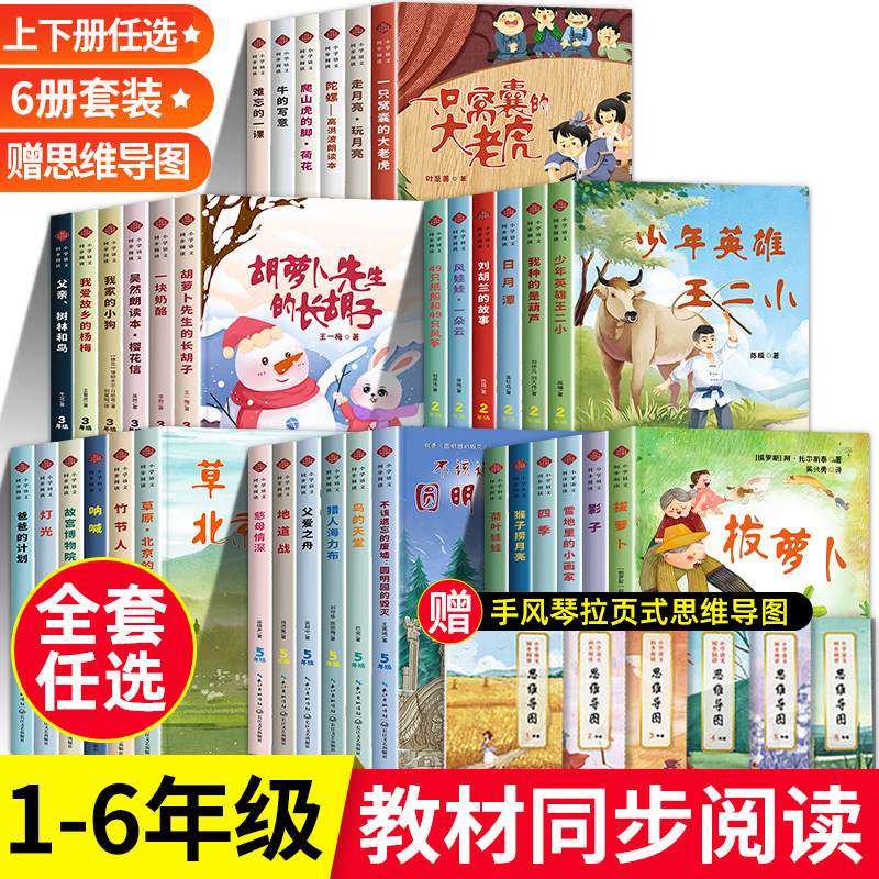 全套小学语文同步阅读一二三四五六年级下册教材经典课文课外必读表里的生物少年英雄王小二我爱故乡的杨梅拔萝卜彩色的梦方帽子店