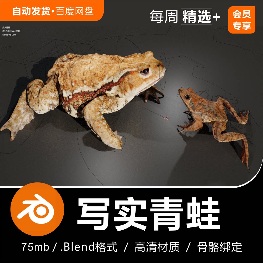 blender动画写实生物动物角色青蛙蟾蜍骨骼绑定3d模型素材