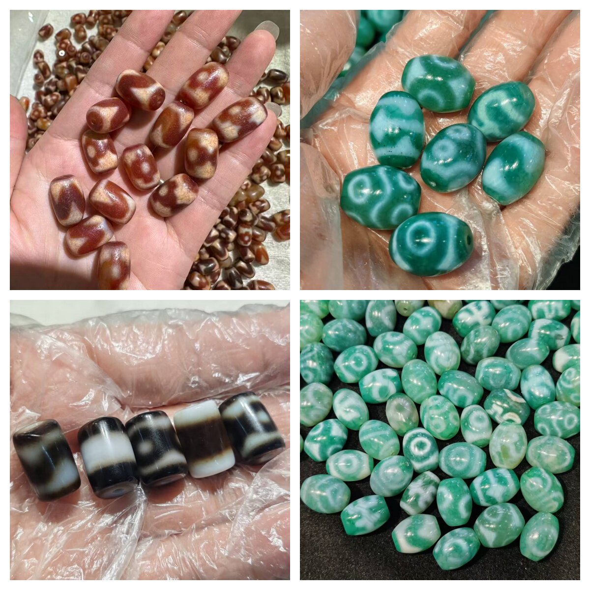 红肉黑白桶珠绿色达洛