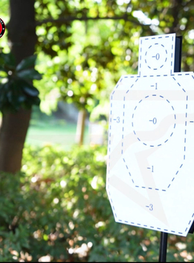 IDPA LASER 激光靶 实用基础版 1.0系统