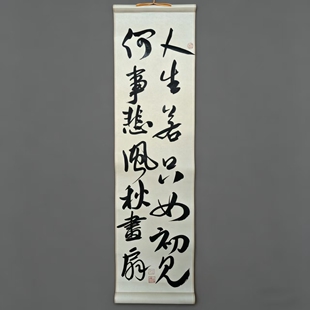 人生若只如初见何事悲风秋画扇原创手写书法作品行书挂轴装饰挂画