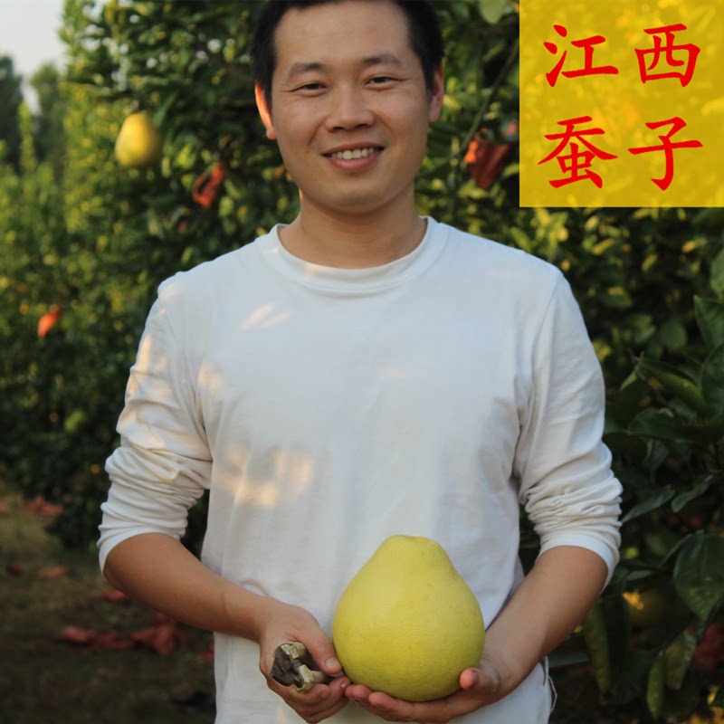 【26年9月新鲜上市】江西特产萍乡土蚕子金兰柚武功山土柚子包邮