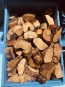 意大利西班牙希腊阿尔及利亚石楠木料带皮一级小号