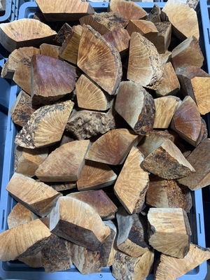 阿尔及利亚石楠木带皮 带皮木料 二级迷你号2mini  5块起拍