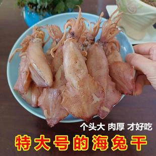 新晒特大号海兔干个大又新鲜口感有韧劲山东威海特产小鱿鱼仔笔管