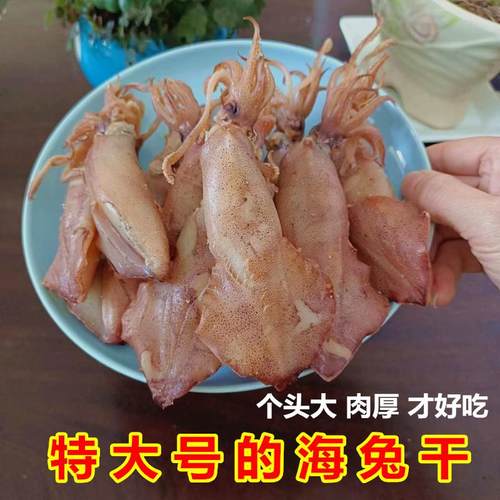 特大号海兔干个头又新鲜