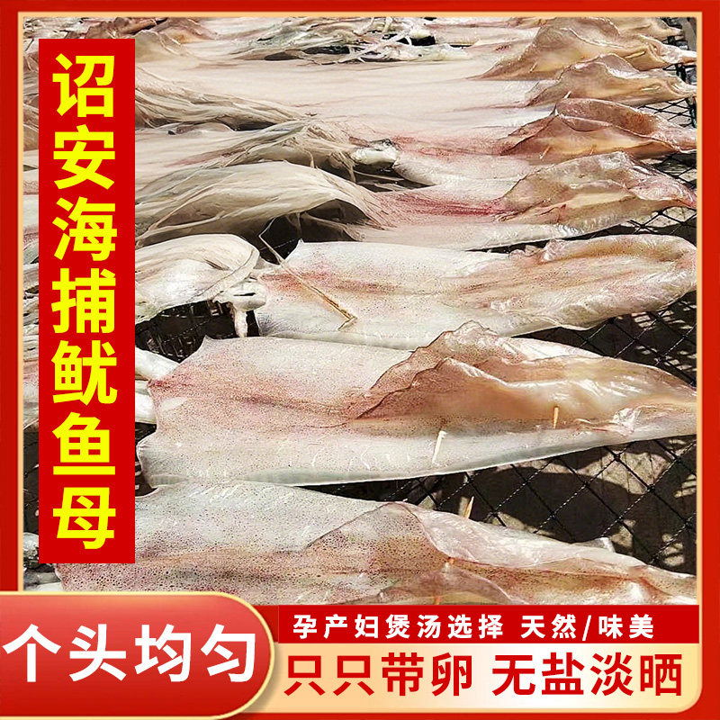 海石兄弟福建诏安本港鱿鱼母干带卵干籽无盐淡晒母鱿鱼干海鲜干货