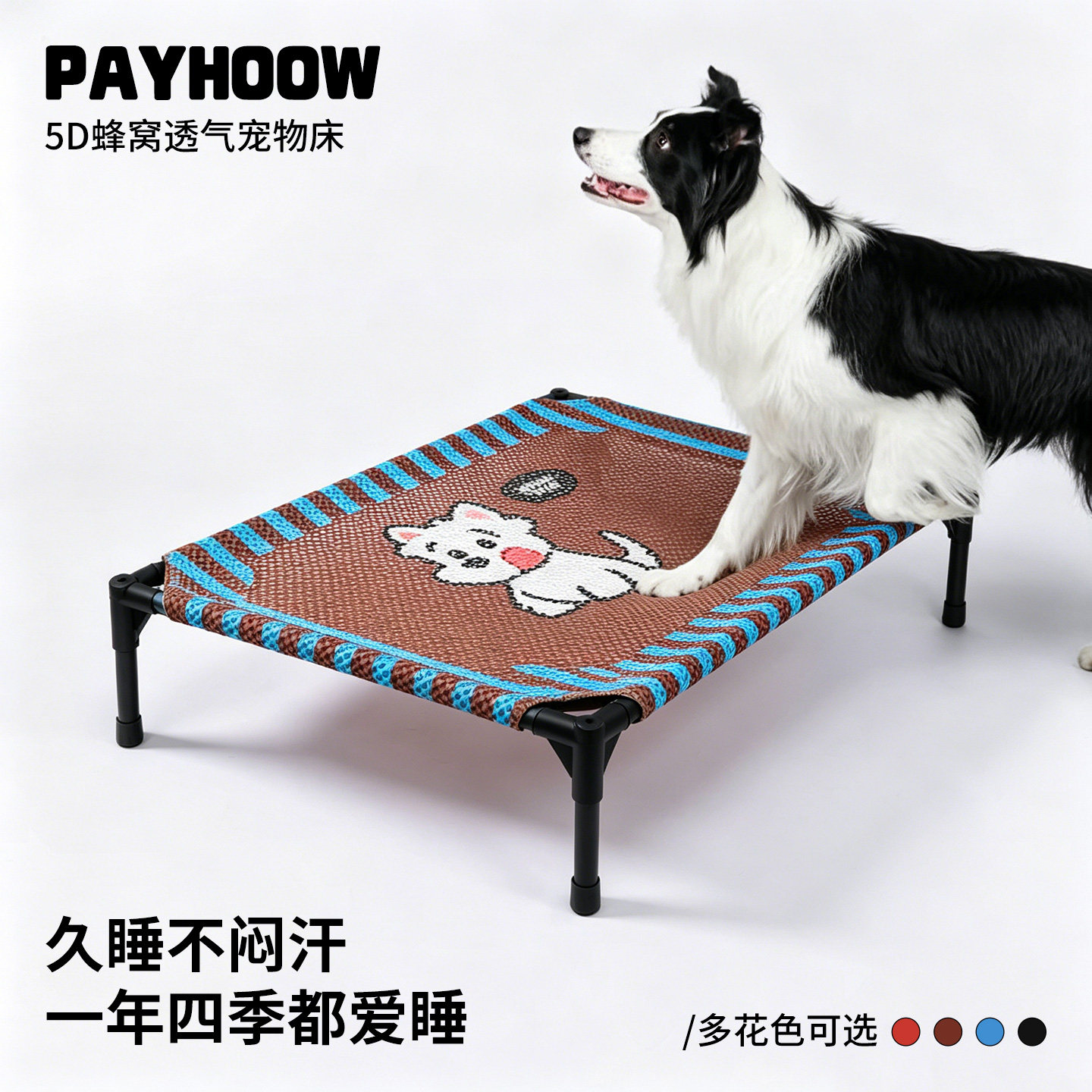 终于找到了一款便捷速干的宠物床图片