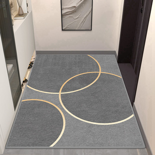 门口家用入户门地垫玄关地毯门垫进门简约现代脚垫室内客厅轻奢风