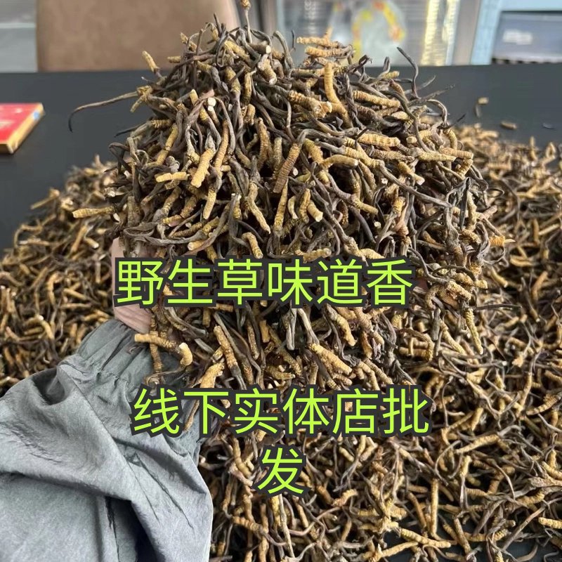 断虫草特价处理野生虫草纯肉节冬虫夏草非西藏那曲虫草送 2克10克