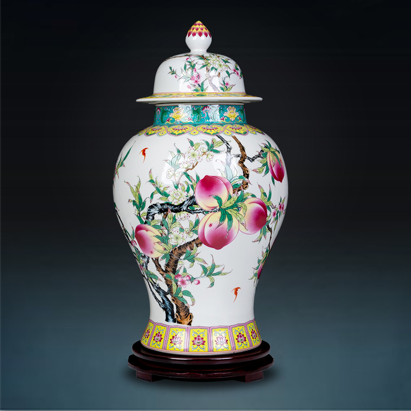 景德镇陶瓷器粉彩中式茶叶罐客厅