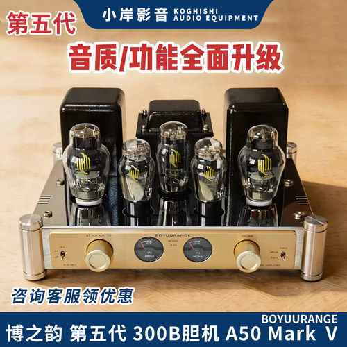 人声毒物300B胆机博之韵