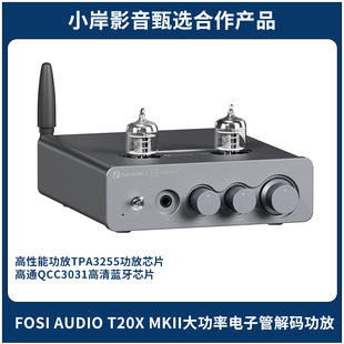 【小岸影音】大功率电子管解码HiFi功放弗西FOSI AUDIO T20X MKII