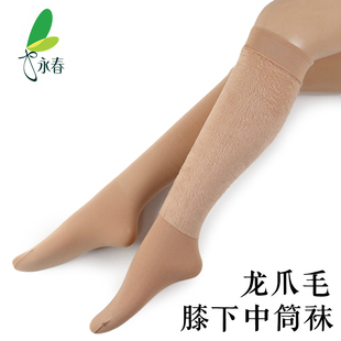 永春 秋冬龙爪毛中筒袜 薄绒半截膝下保暖袜足部变薄肉色长筒袜子