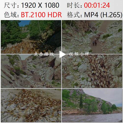 航拍新疆阿勒泰哈萨克族牧民转场赶着牛羊骆驼夏季牧场视频素材