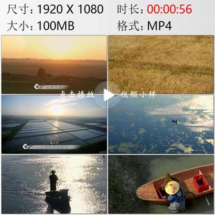 航拍湖北江汉平原农民老汉赶牛潜江小龙虾养殖基地实拍视频素材