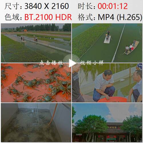 高淳老街固城湖养殖螃蟹航拍养殖厂湖面高清实拍视频素材
