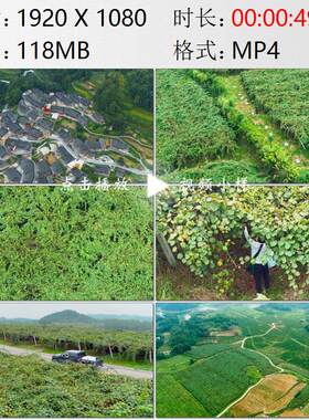 航拍湖南湘西土家族苗族花垣十八洞村猕猴桃种植园实拍视频素材
