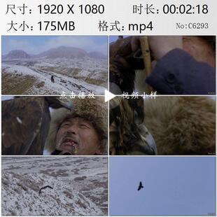 新疆天山山脉柯尔克孜族老猎人将猎鹰放归自然依依惜别视频素材