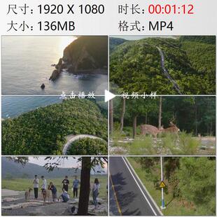 航拍辽宁大连滨海路海滨海岛滨海鹿群与游客高清实拍视频素材