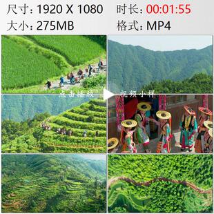 航拍湖南昭阳隆回虎形山瑶族乡花瑶婚礼山林间迎亲队伍视频素材