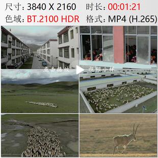 航拍西藏羌塘高原那曲牧民易地搬迁新居学校跳舞羊圈实拍视频素材