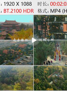 航拍山东孔府孔庙万仞宫墙曲阜孔林清明节祭祀活动实拍视频素材