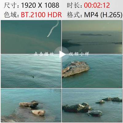 航拍山东蓬莱黄海渤海分界线长岛国家海洋公园斑海豹实拍视频素材