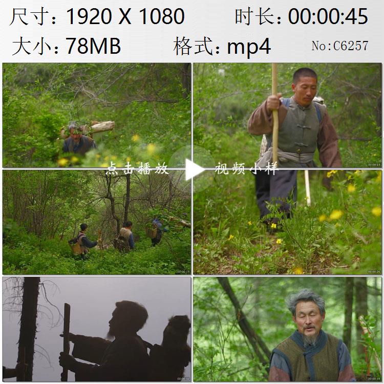 长白山老把头带领寻参队伍进山寻找人参高清实拍视频素材