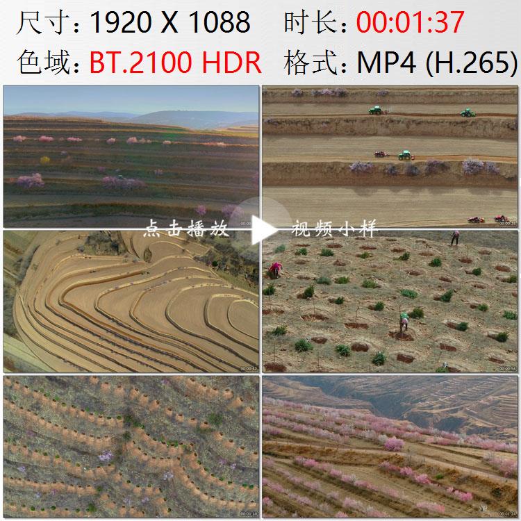 航拍宁夏固原市彭阳梯田山坡桃花退耕还林植树造林绿化视频素材