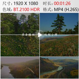 航拍黑龙江伊春五营国家森林公园小兴安岭彩色山林火车视频素材