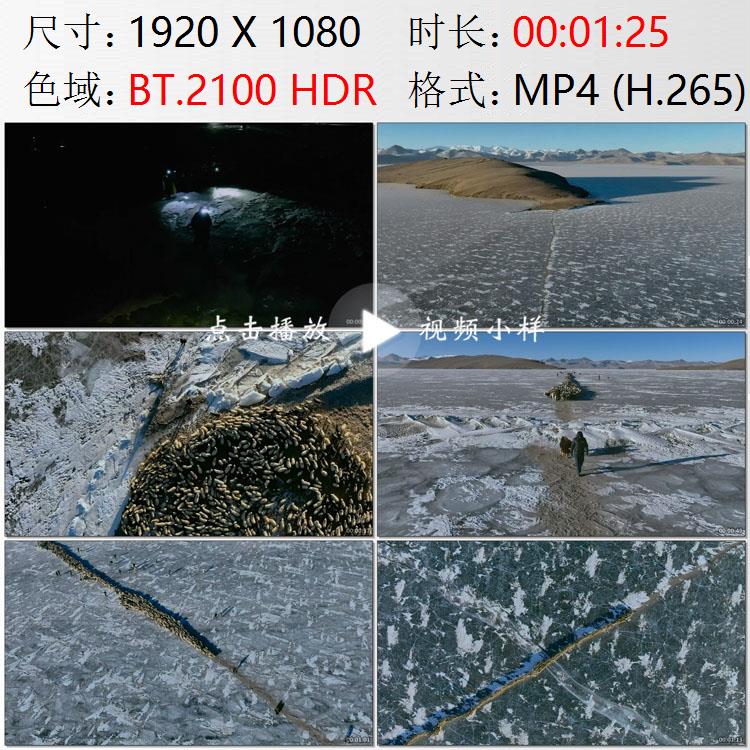 航拍西藏山南普莫雍错村民冰封湖面撒炉灰湖心岛羊群实拍视频素材