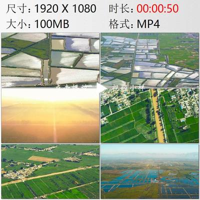 航拍宁夏银川万亩鱼塘渔民捕捞鱼虾葡萄酒庄园塞上江南视频素材