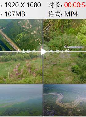 航拍陕西合阳洽川黄河湿地关关雎鸠在河之洲诗经起源地视频素材