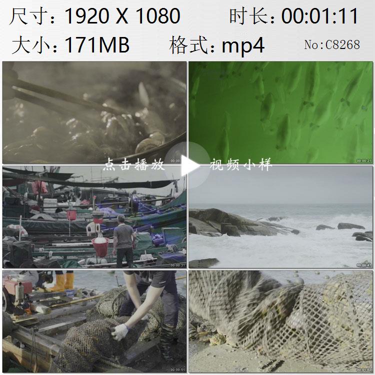 福建东山岛渔民出海捕鱼捕捞扇贝高清实拍视频素材
