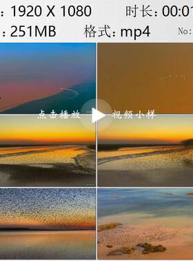 航拍黄河与渤海分界线海面鸟浪奇观迁徙越冬丹顶鹤实拍视频素材