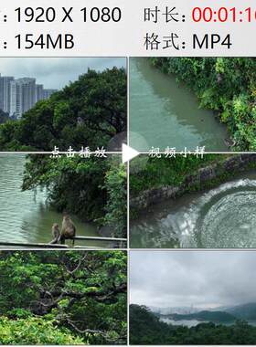 航拍香港金山郊野公园猴子跳水高清实拍视频素材
