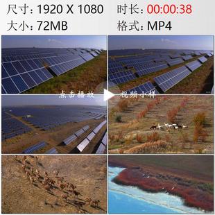 航拍内蒙古鄂尔多斯库布其沙漠治理光伏发电野生动物实拍视频素材