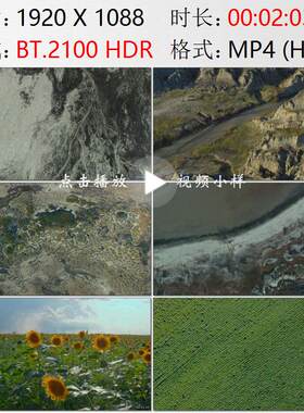 航拍吉林古松辽湖干涸沼泽湿地盐碱地向日葵农田高清实拍视频素材