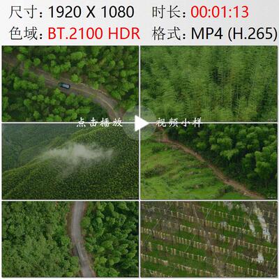 航拍江西上饶铅山竹林竹海农民上山砍伐竹子造纸高清实拍视频素材