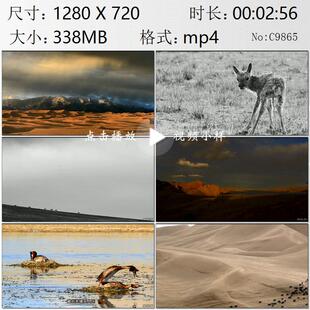 西藏藏北羌塘无人区美景野生动物中国户外探险家探险实拍视频素材