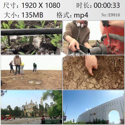 中国帮助哈萨克斯坦搞绿化植树造林阿斯塔纳高清实拍视频素材
